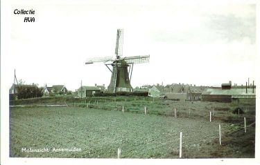 Op het terrein achter de molen in het Tuindorp.....