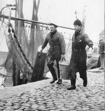 In de haven van Veere. De volle manden garnalen worden naar de vismijn gebracht.