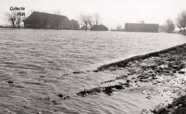 Ook de Oranjepolder stroomt onder. De boerderij van de familie Joh. Crucq slaat rondom in het water. Op de vroege zondagmorgen komen ze met hun have op de Markt aan. Een onvergetelijk gebeuren de loeiende koeien op die sombere morgen op de Markt.