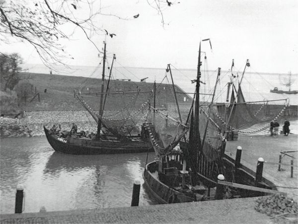 De Arnemuidse vissersvloot te Veere in de vijftiger jaren. (Uit collectie Jhr. W.L. den Beer Poortugael, Veere).