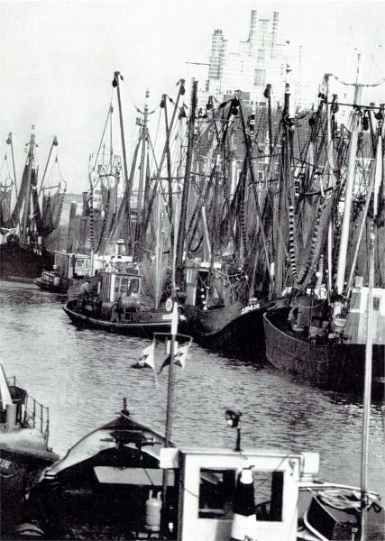 De Arnemuidse vissersvloot in de haven van Veere.