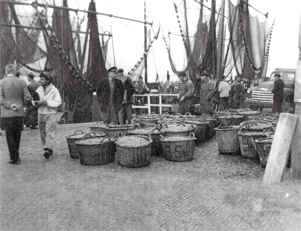 De aanvoer van garnalen door de Arnemuidse vissers in Veere. Op de manden staan de ARM-nummers. (Uit collectie Jhr. W.L. den Beer Poortugael, Veere).