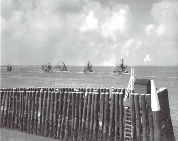 De vloot vaart uit. Het wordt een goed garnalenjaar: dubbel zoveel garnalen als in 1957. (Uit collectie Jhr. W.L. den Beer Poortugael, Veere).