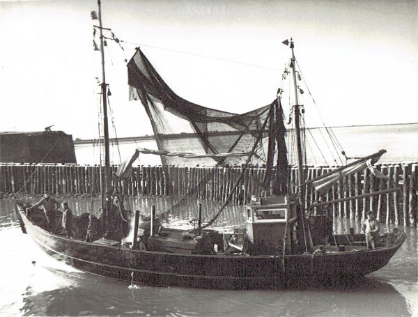 Na een etmaal vissen komt de ARM 20 van de Marijzen in de namiddag de haven van Veere binnen.