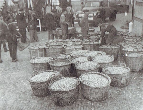 Een zeer gunstig jaar was 1959 voor de visserij. Volle manden garnalen op de kade van Veere.