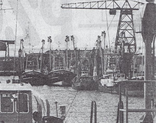 Drukte aan de vismijn in Vlissingen in 1980.