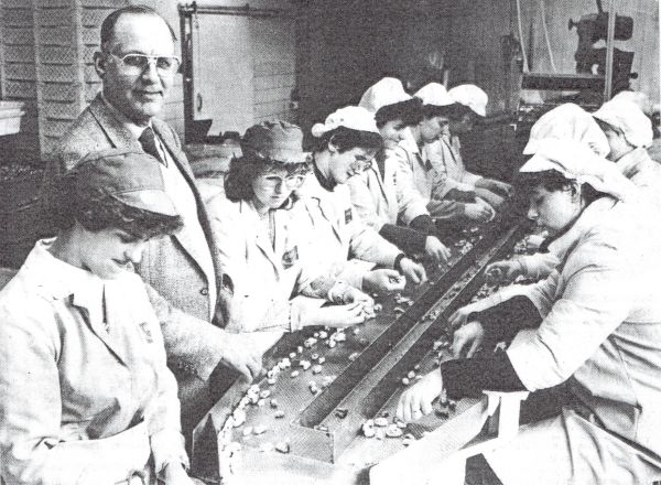 In de mosselconservenfabriek in het Tuindorp. Hier directeur Manneke tussen de werknemers.