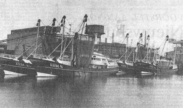 Hier enkele van de nieuwste visserschepen van de Arnemuidse vloot afgemeerd in de haven van Zeebrugge, na het aanvoeren van vis.
